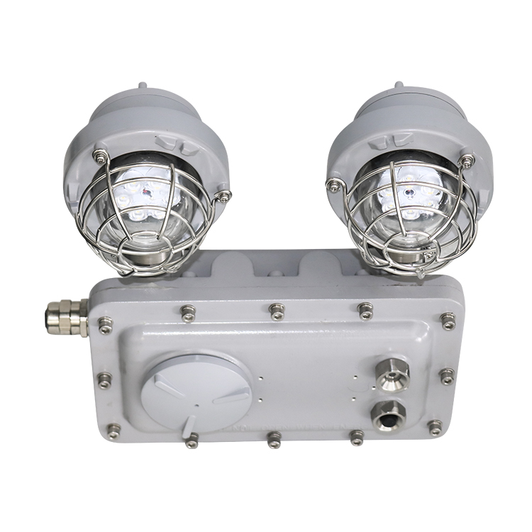 Ex Exit Light with Emergency - Image 2